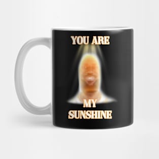 you are my sunshine my only sunshine lebron james Mug